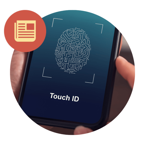 Copy of Newsletter Image Container-Dec-13-2024-11-00-30-0773-PM