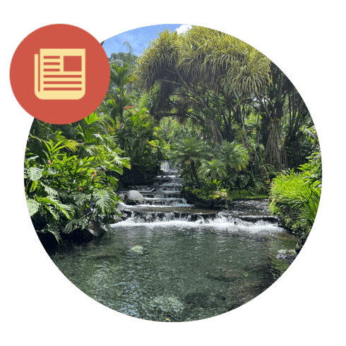 Copy of Newsletter Image Container-Dec-16-2024-05-13-51-3842-PM