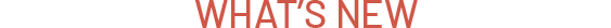Section-Seperator 3